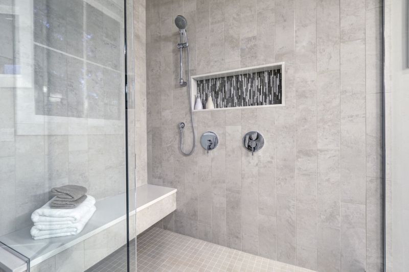 Elegant Shower with Niche Storage